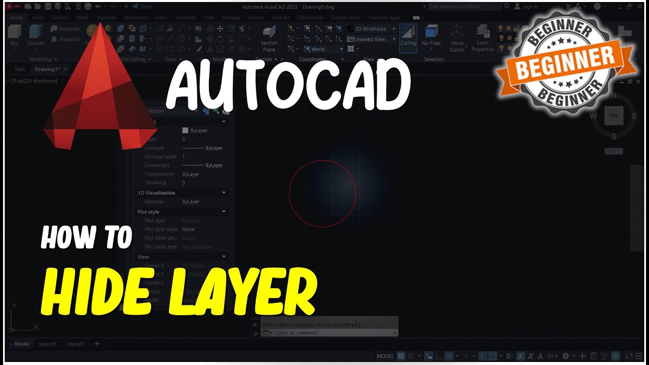 AutoCAD How To Hide Layer