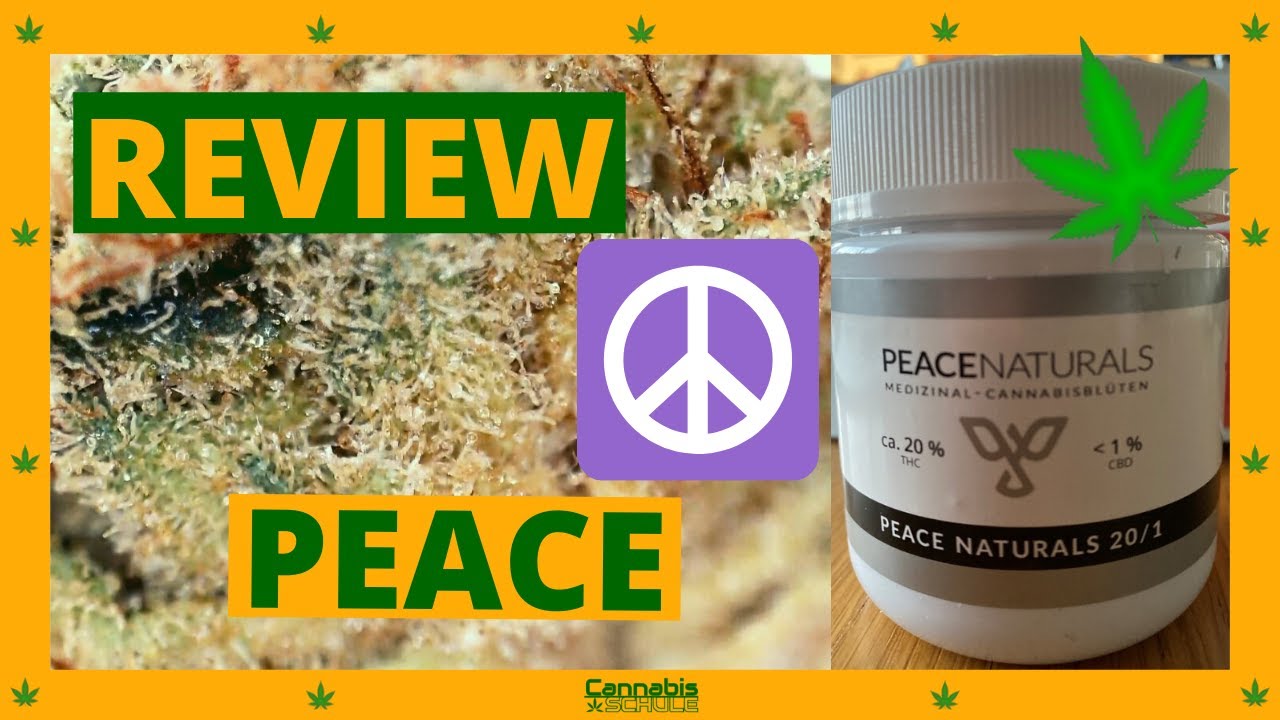 Medizinisches Cannabis Sorten Review Strain Test Peace Naturals 20 1 unterm Mikroskop - Purple Kush?