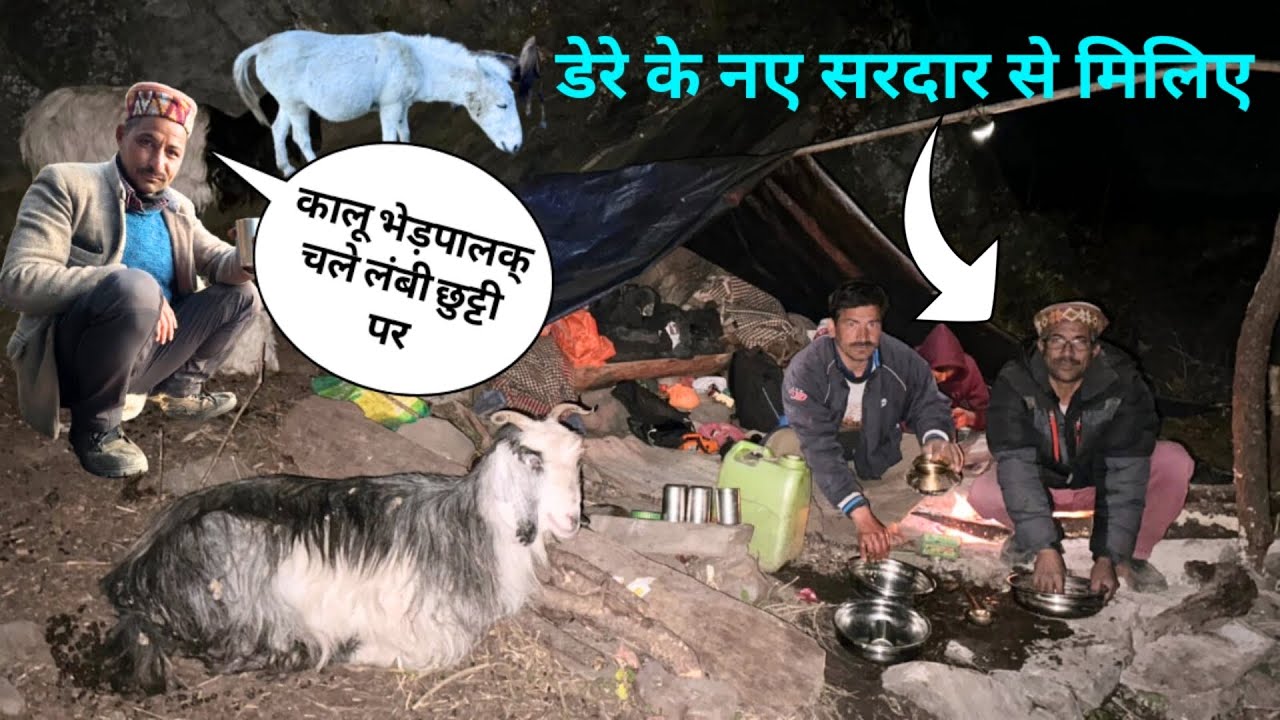 6 महीने बाद कालू भेड़पालक चले लम्बी छुट्टी पर 🥲डेरे के नए सरदार से मिलिए 😍किसे सौंपी ज़िम्मेबारी…..!