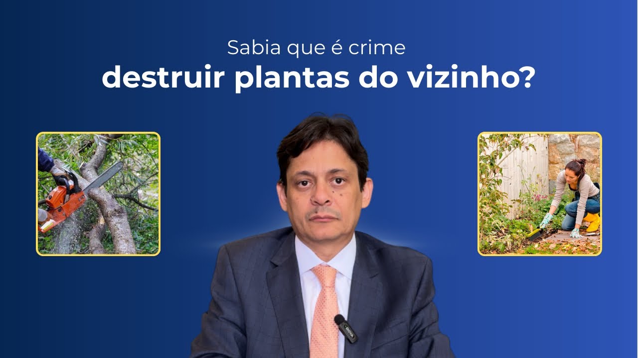 Sabia que é crime destruir plantas do vizinho? 
