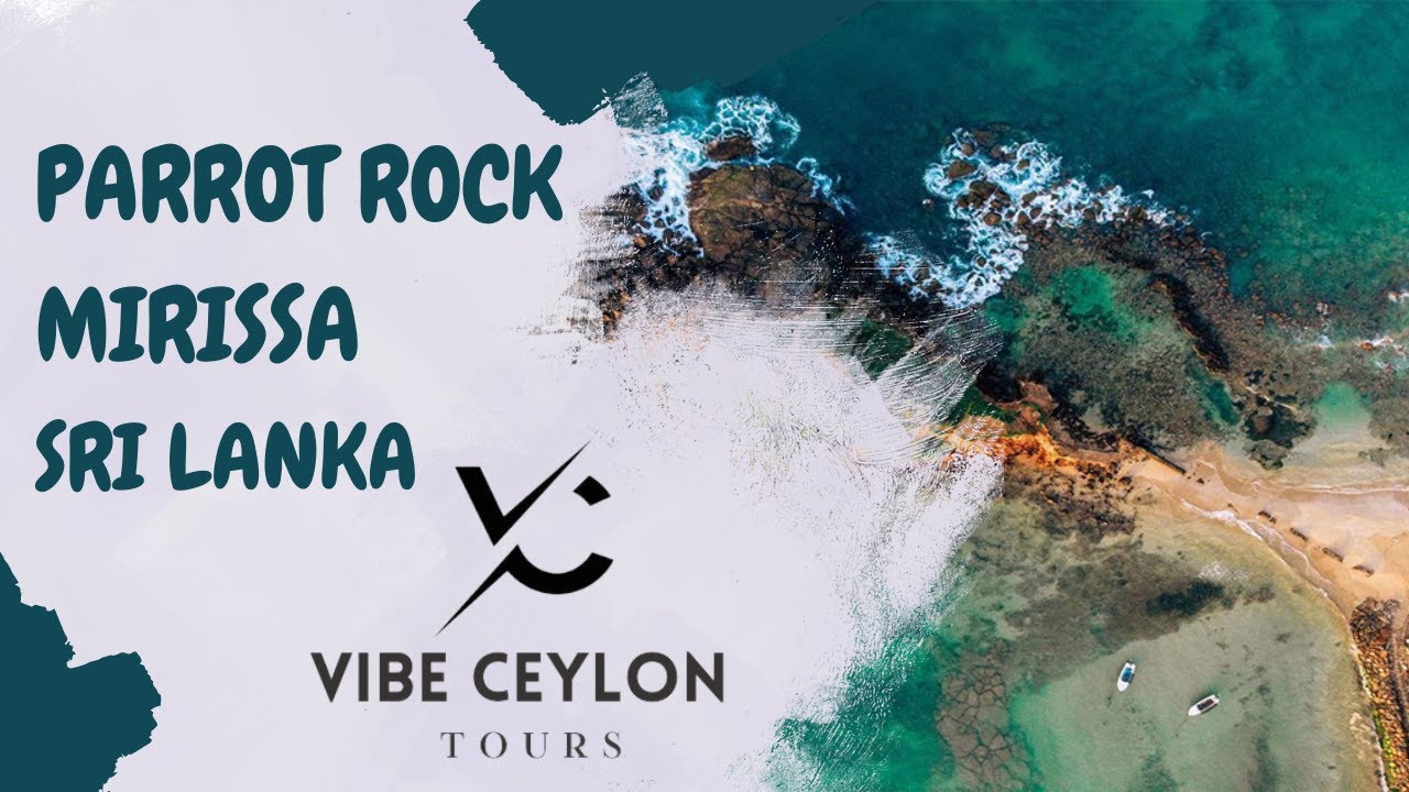 PARROT ROCK - MIRISSA