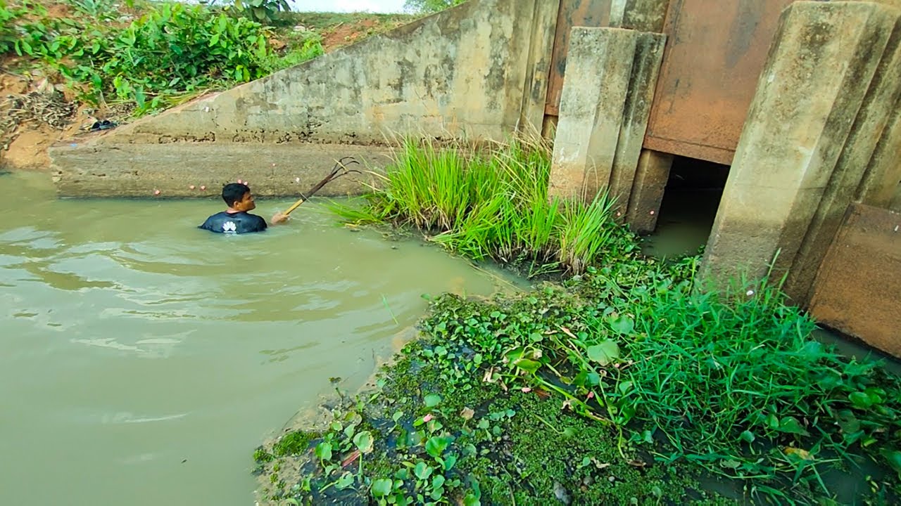 Remove Floating Plants Flow Clogged Huge Culvert Drainage