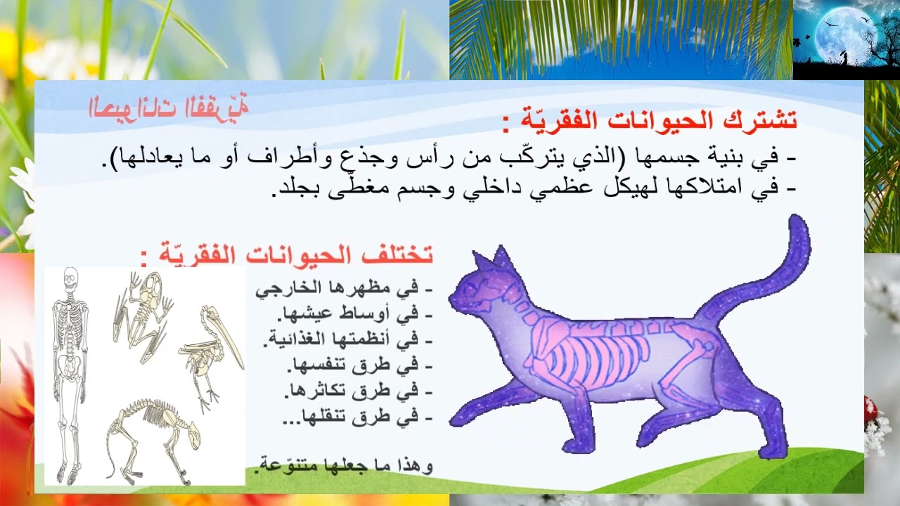 التنوع البيولوجي والحيوانات الفقرية