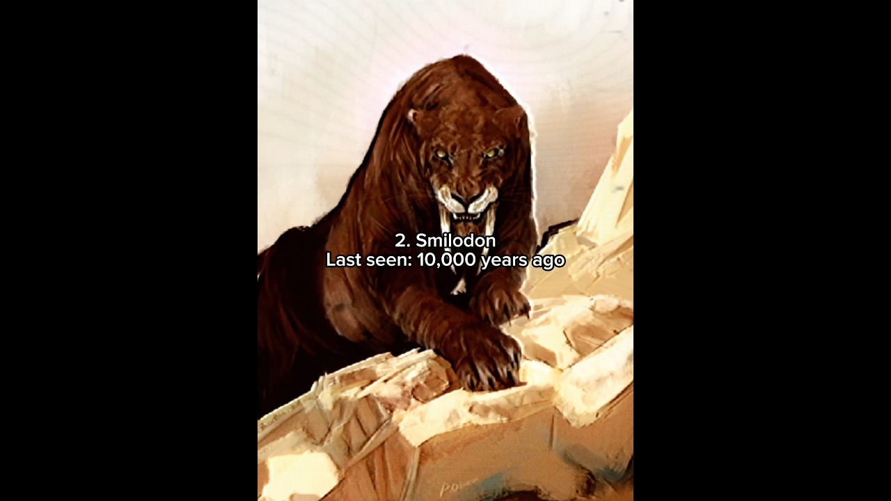 Terrifying animals that went extinct extremely recently #prehistoric #smilodon