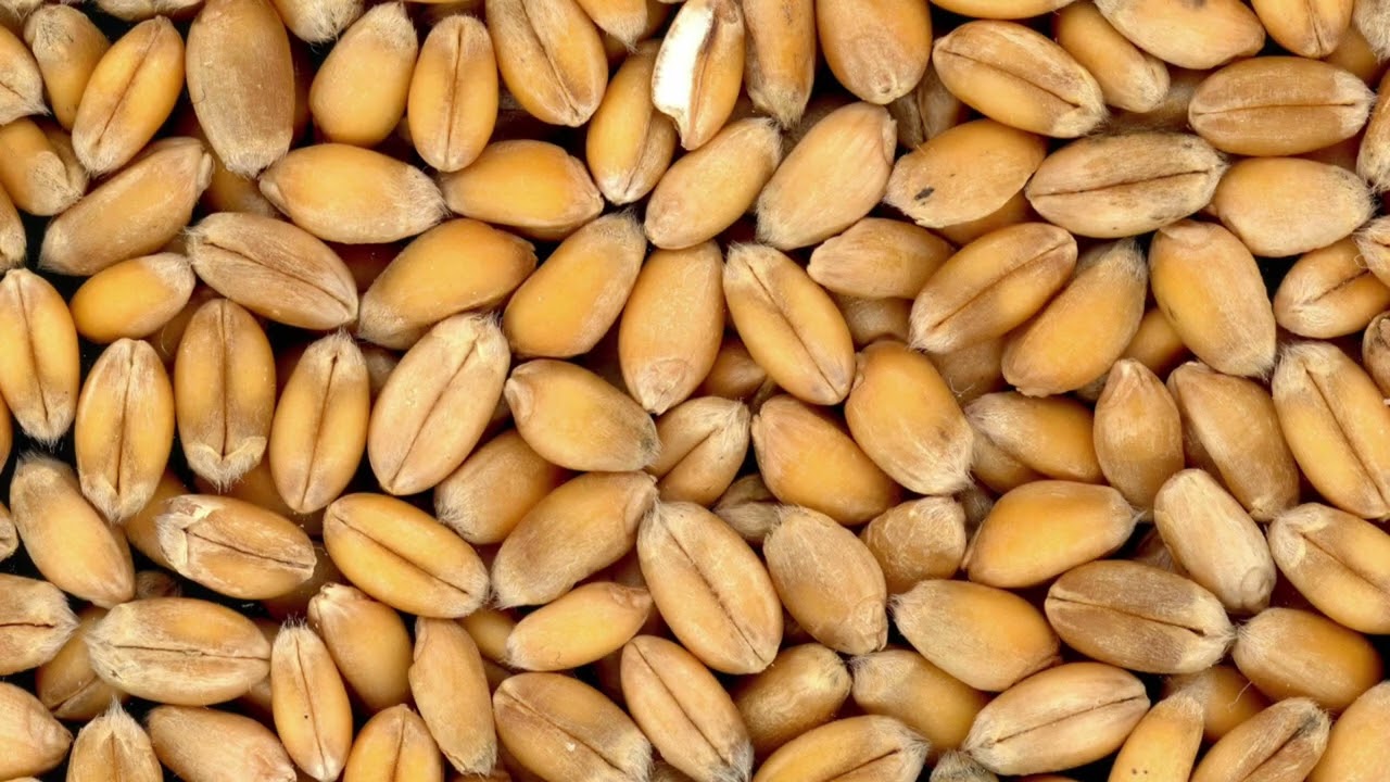 இதய காணிக்கை கிருத்துவ பாடல்-ஆரோக்கிய.ஜெஸி ராஜா/Ithaya Kanikkai Christian song - Arokiya.Jesi Raja