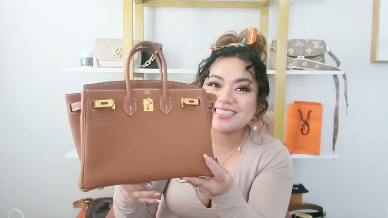 Hermes Birkin 25 Review! Pros & Cons!