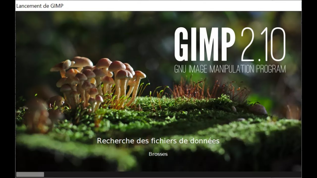 GIMP 2.10.32: Tuto 307 ( Changer l'interface )