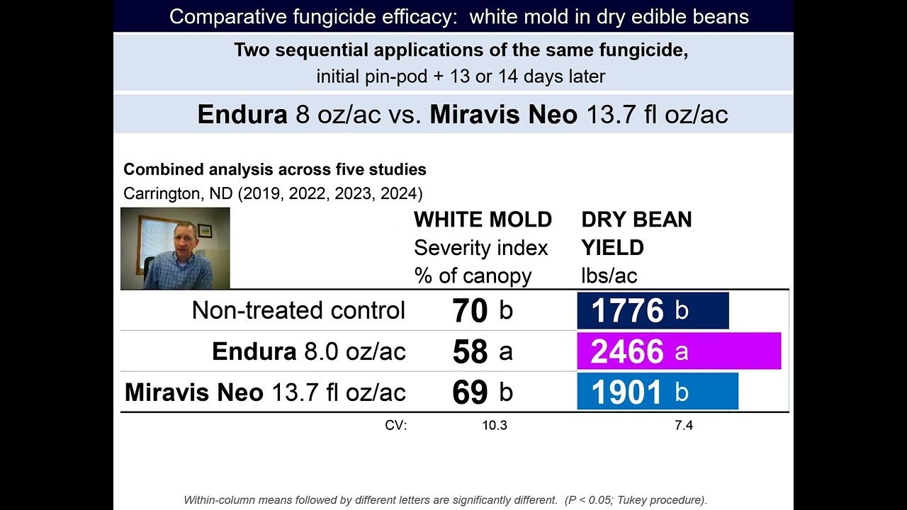 2025 Dry Bean White Mold APROACH MIRAVIS NEO PRIAXOR Fungicide Efficacy