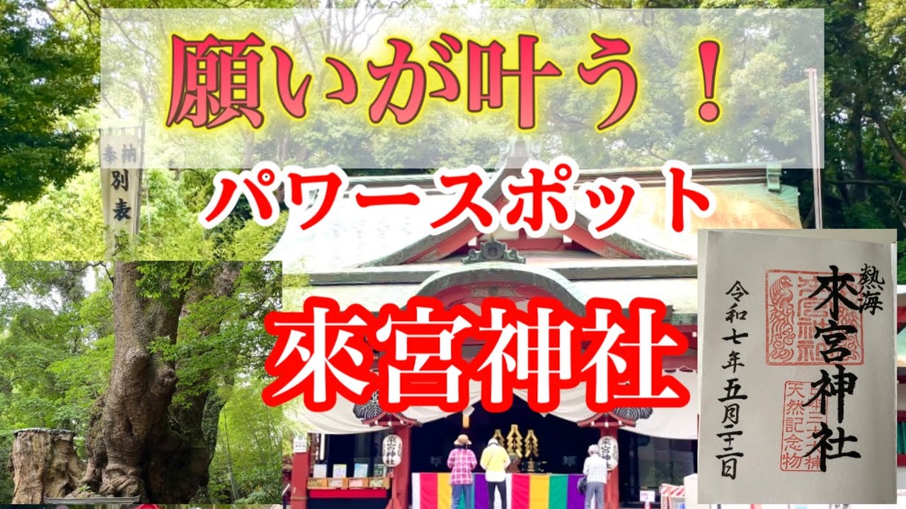 【来宮神社】願いが叶う大楠へ｜静けさに包まれる熱海の神社さんぽ｜音楽と映像で癒し旅