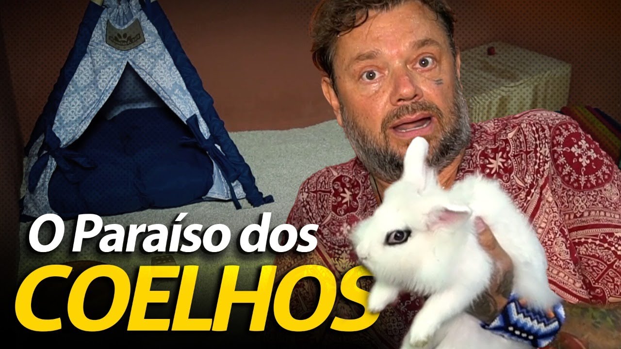 OS COELHOES LEÃO NO PARAÍSO! | A CASA DOS BICHOS