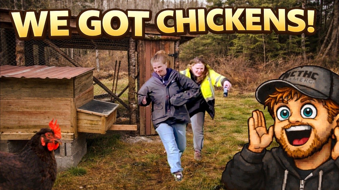 Chickens Arrive at the Homestead