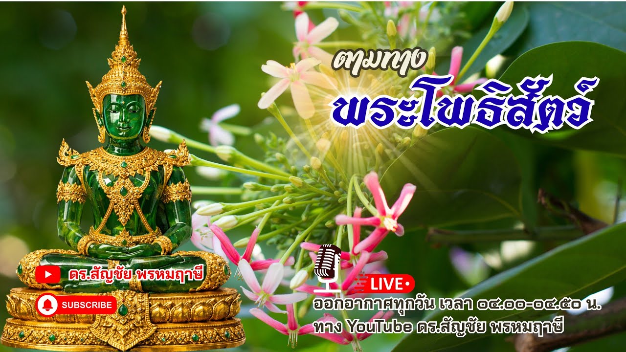 ตามทางพระโพธิสัตว์ 19 มีนาคม 2569