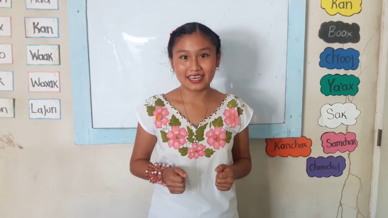Clases de la lengua maya ONLINE