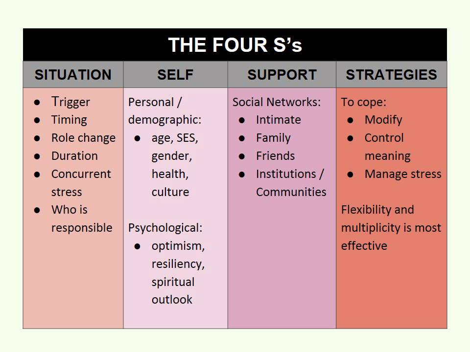 Schlossberg Transitions Theory