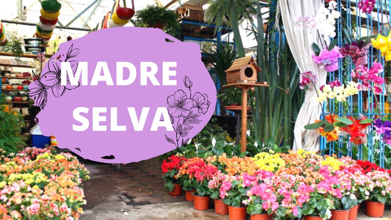 Vámonos a Xochimilco|Mercado Madre Selva