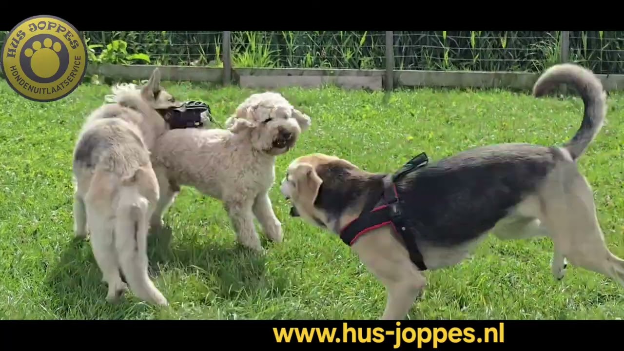 www.hus-joppes.nl