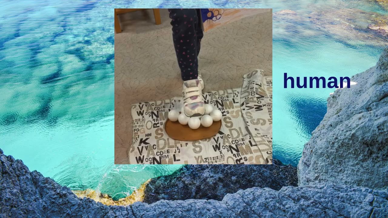 eTwinning 2025 2026  Understanding the Dangers for Sea Turtles