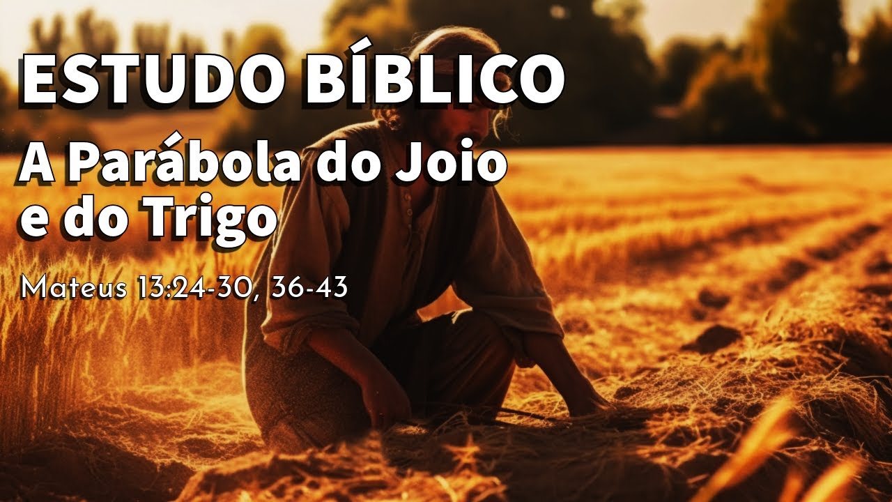 ESTUDO BÍBLICO: A Parábola do Joio e do Trigo - Nem tudo que parece trigo é trigo!