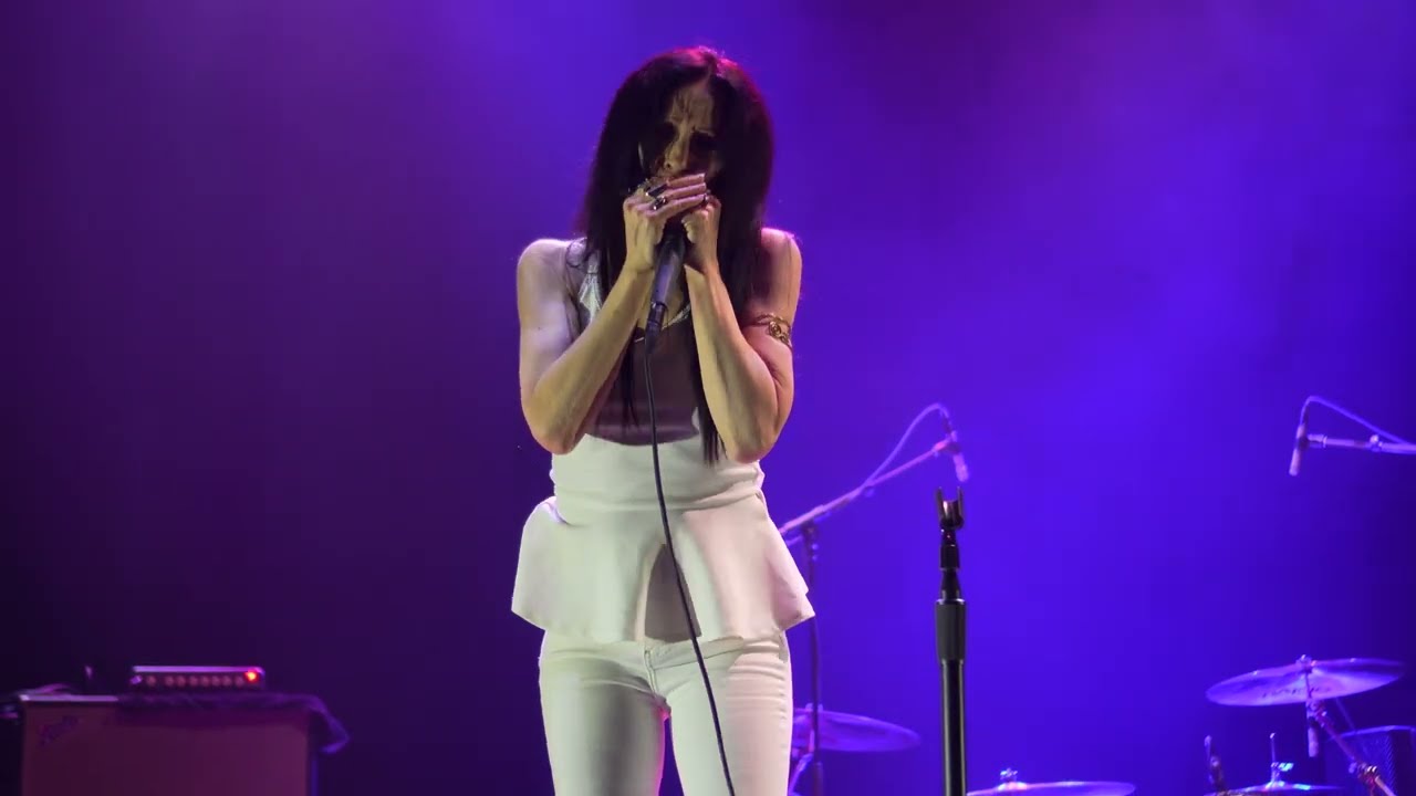 zepparella - Anna Kristina plays the harmonica at the Lincoln - Cheyenne, WY - November 1, 2024