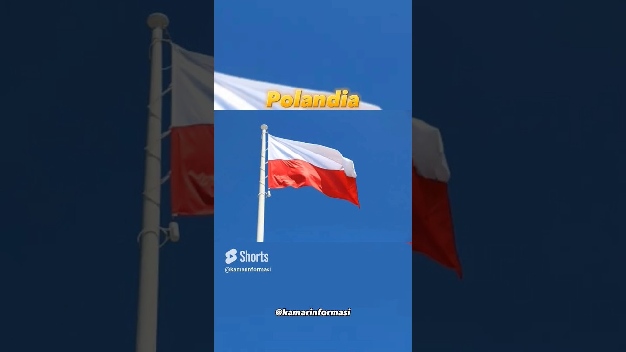 Negara Eropa Tengah #samasamabelajar #shorts #shortsfeed #samasamabelajar #europe #countryballs