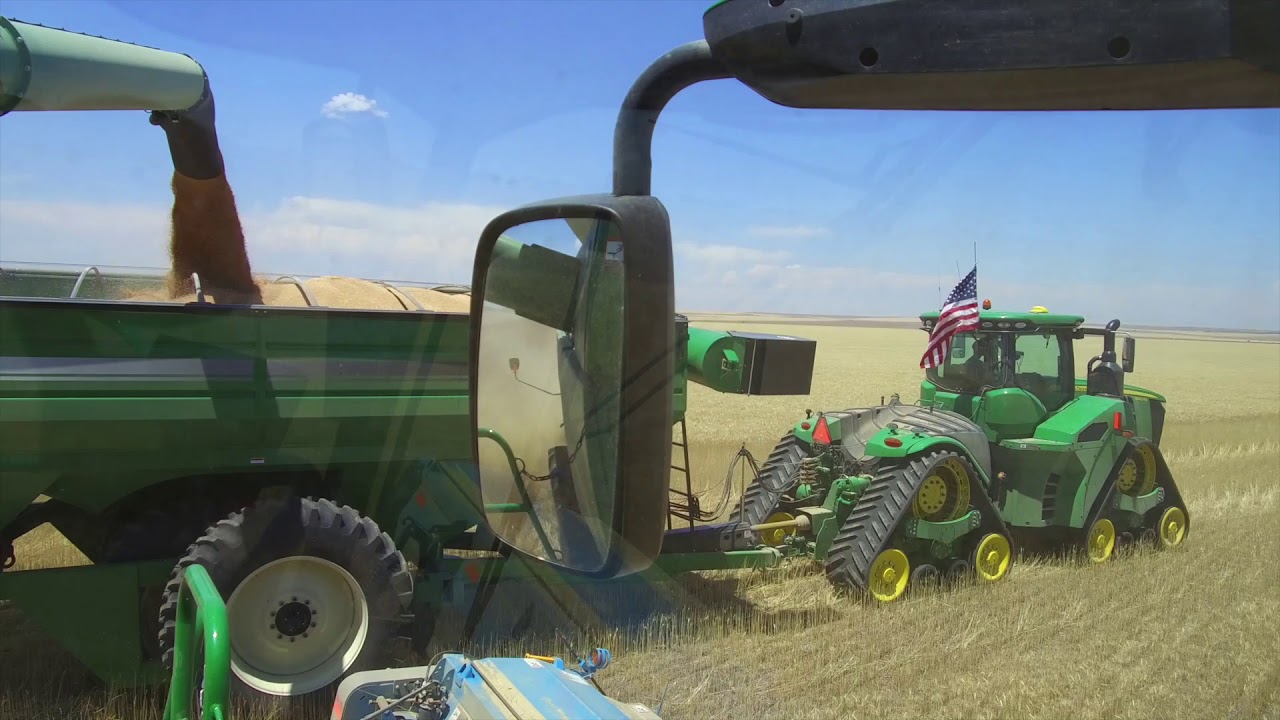 Kalcevic farms harvest 2018 with Walters Harvesting from Canada