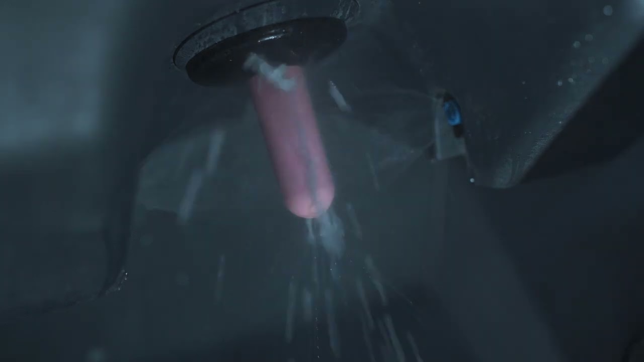 Reinigung des CalfExpert