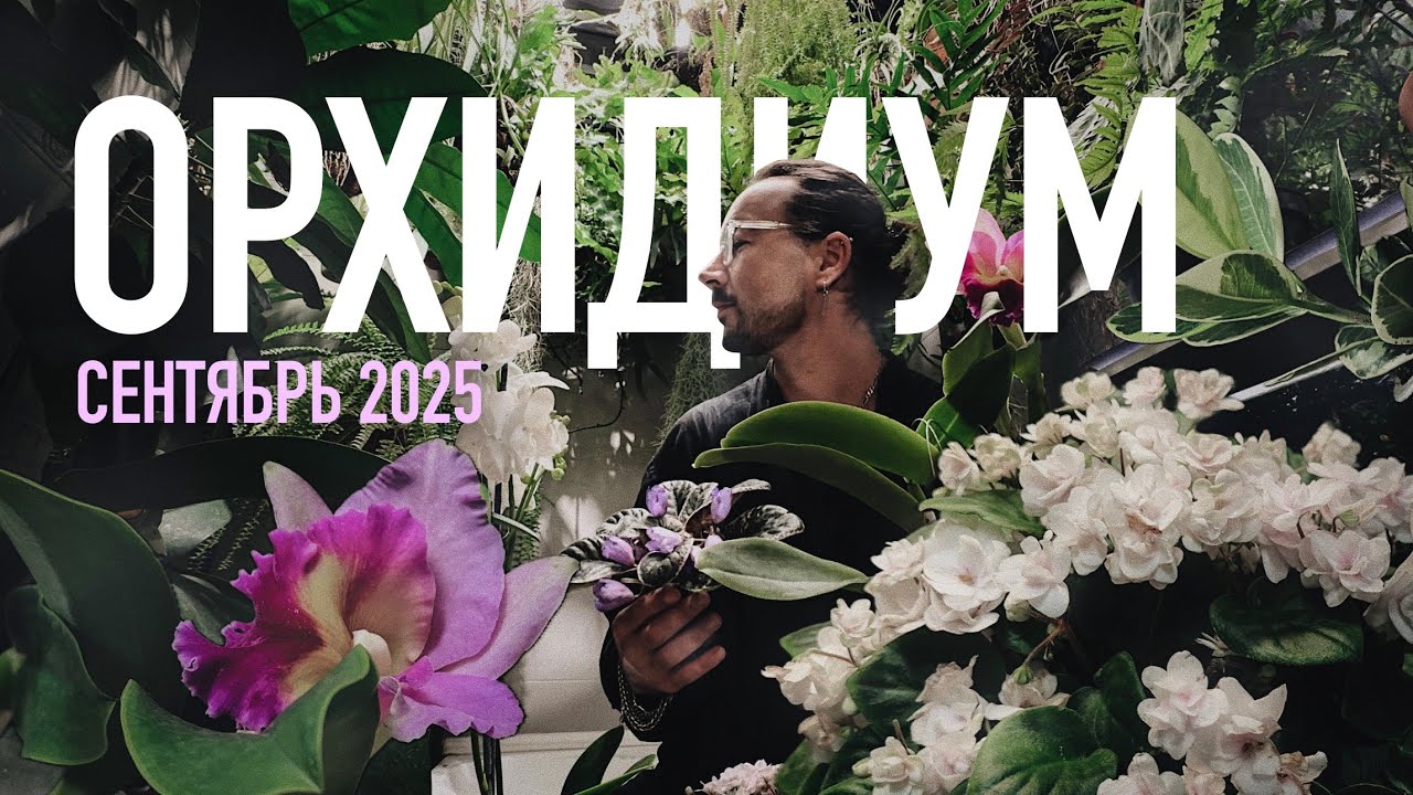 ОРХИДИУМ СЕНТЯБРЬ 2025. ПОКУПКИ 