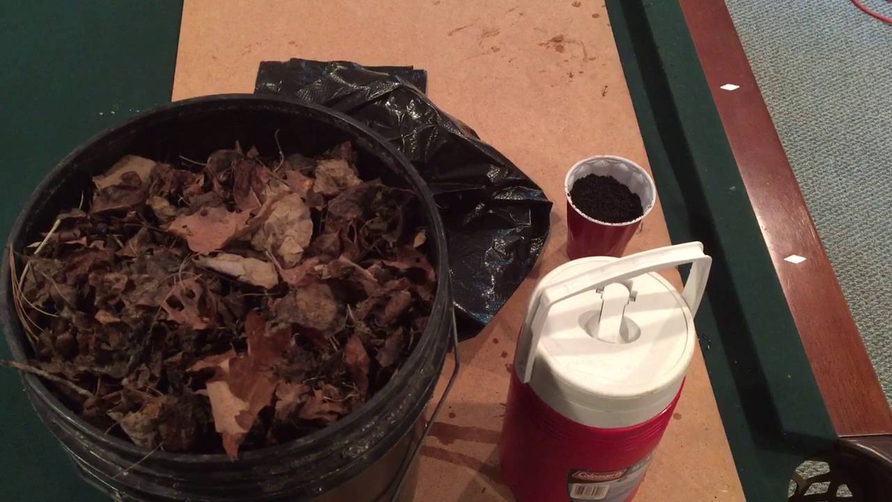 How to make leaf compost aka leaf mold in 2 months!