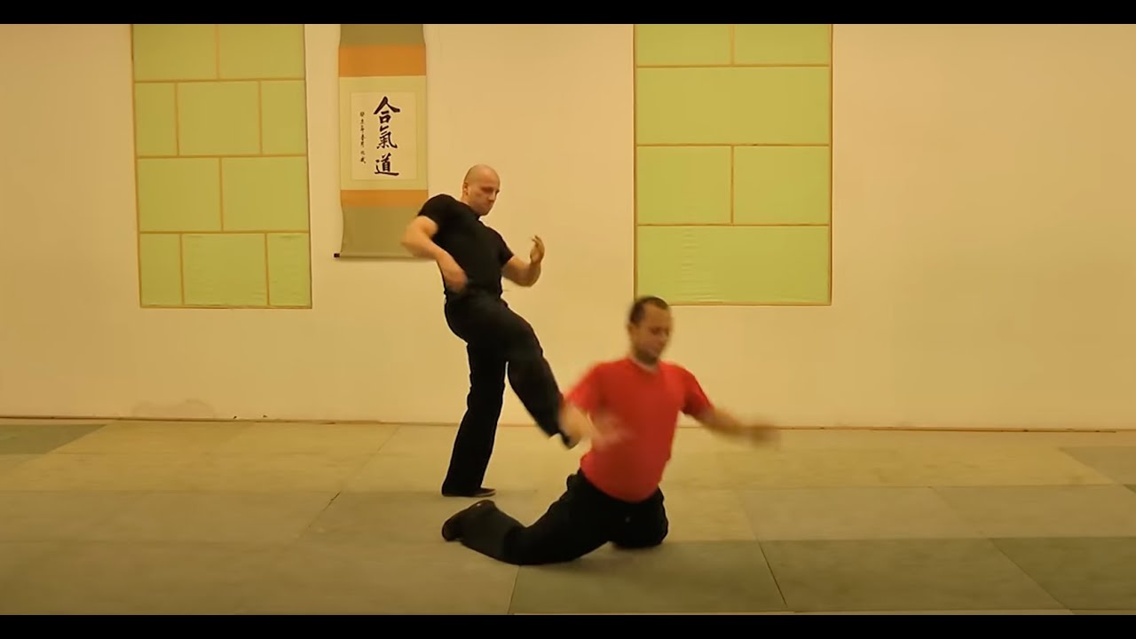Wing Chun Kung Fu - Ip Man Lineage - Fight Apps - Self Defense