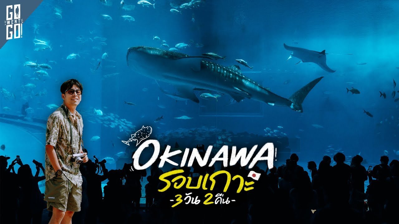 ขับรถเที่ยวรอบเกาะ Okinawa 18 จุด 3 วัน 2 คืน อัพเดท 2024 | VLOG