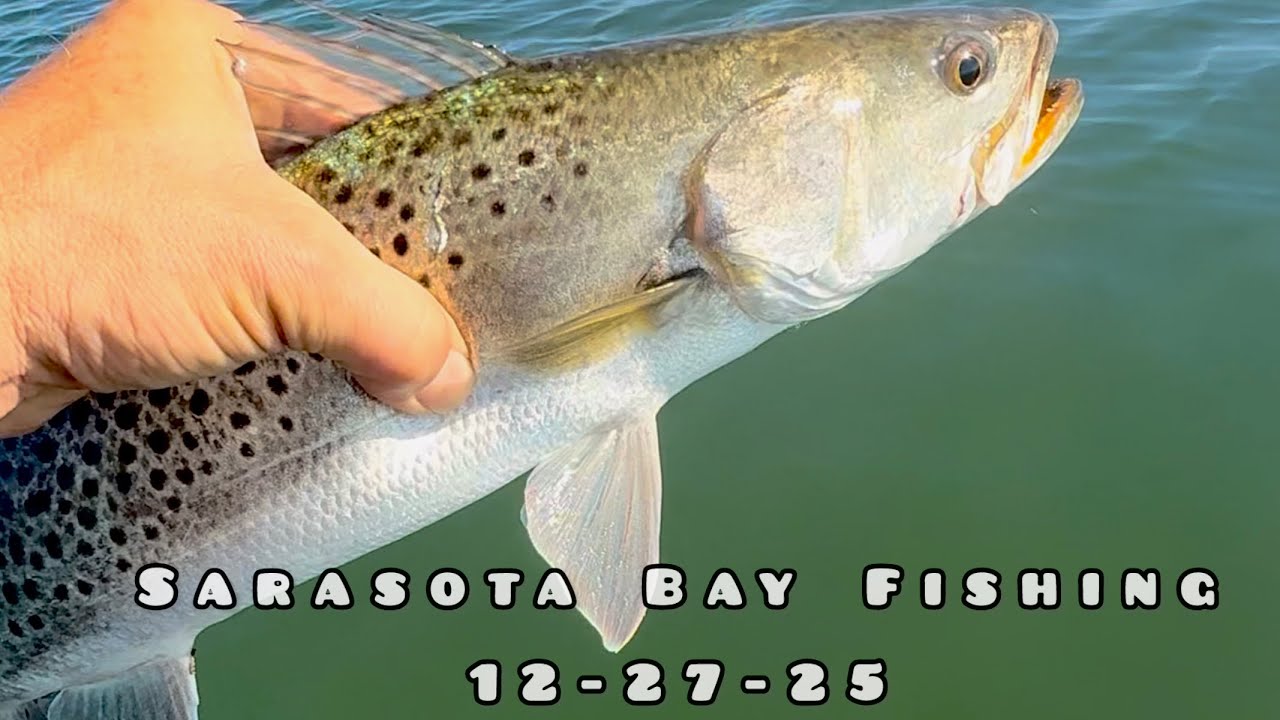 Last Day of 2025 #fishing - 12-27-25