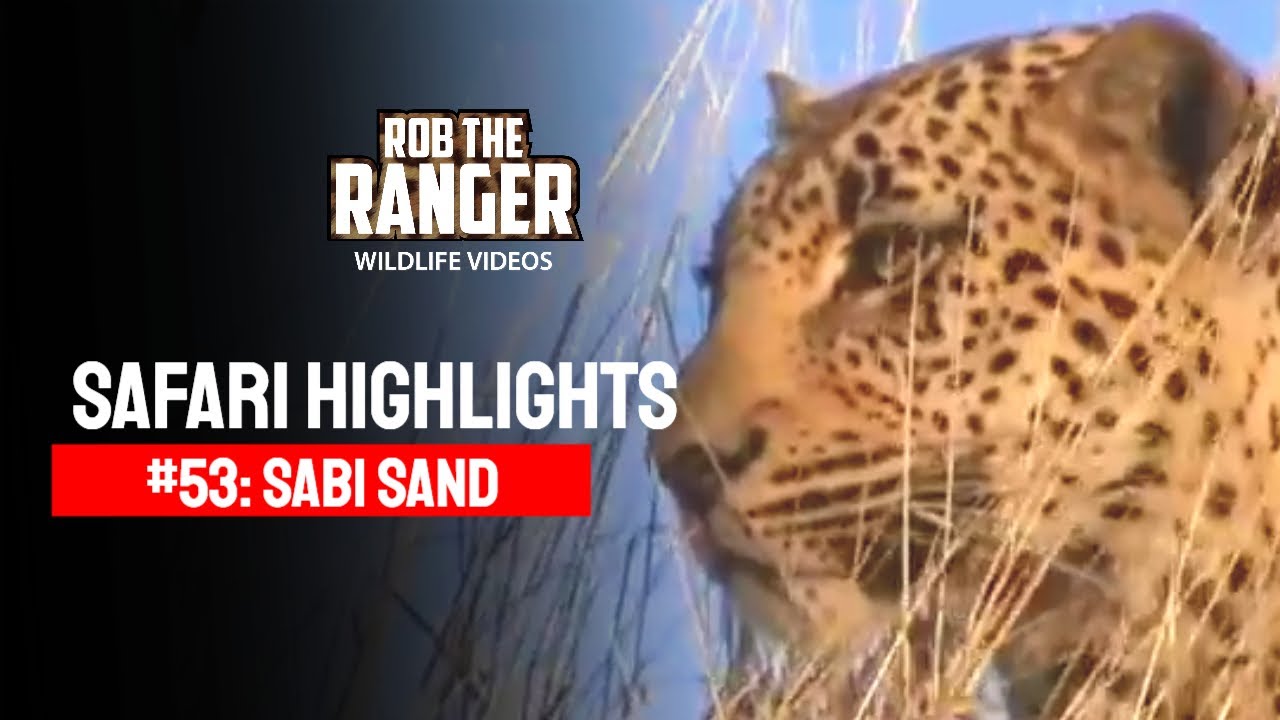 Safari Highlights #53: 23 - 25 July 2010 | Sabi Sand Nature Reserve | Latest #Wildlife Sightings