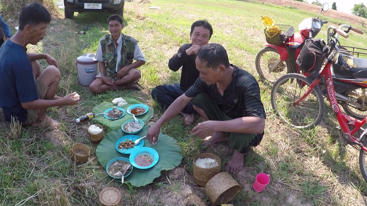 ตึกแห หว่านแหทอดแห!!กินข้าวกับต้มปลาก้อยปลา อยู่ทุ่งนากับทีมงาน บรรยากาศอีสานบ้านทุ่ง
