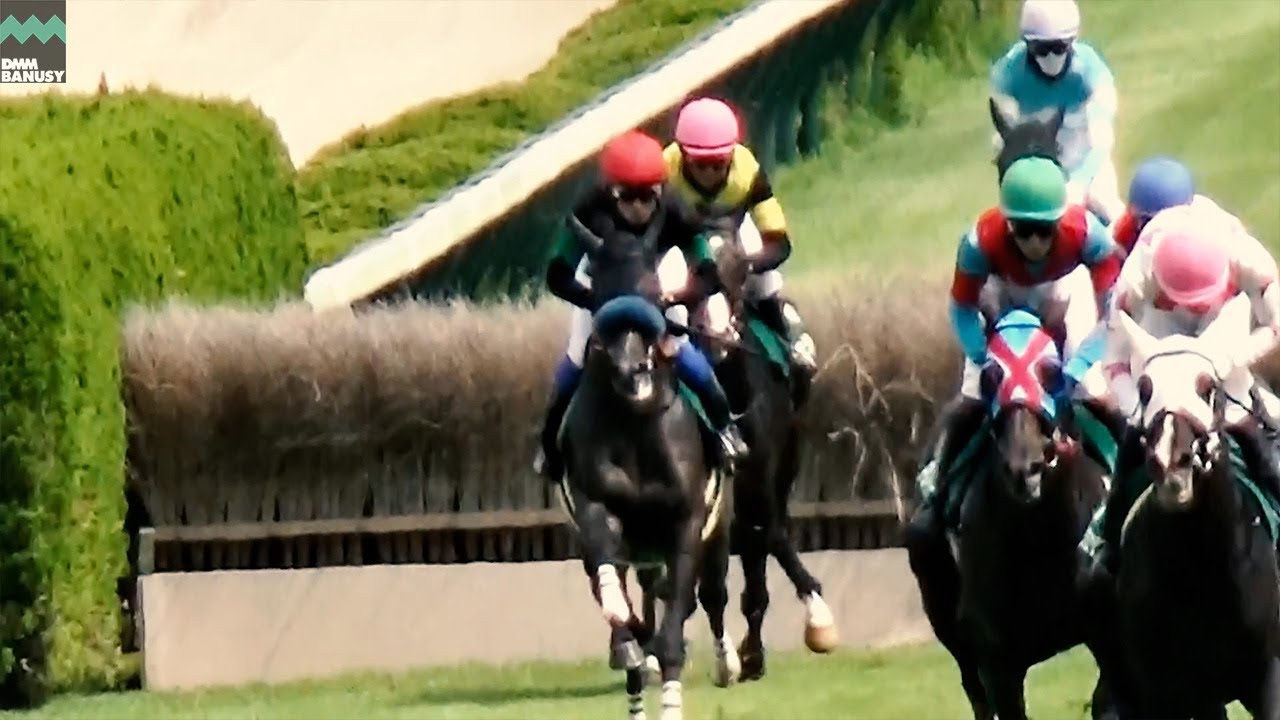【ジーククローネ】京都ジャンプステークスまでの道のり