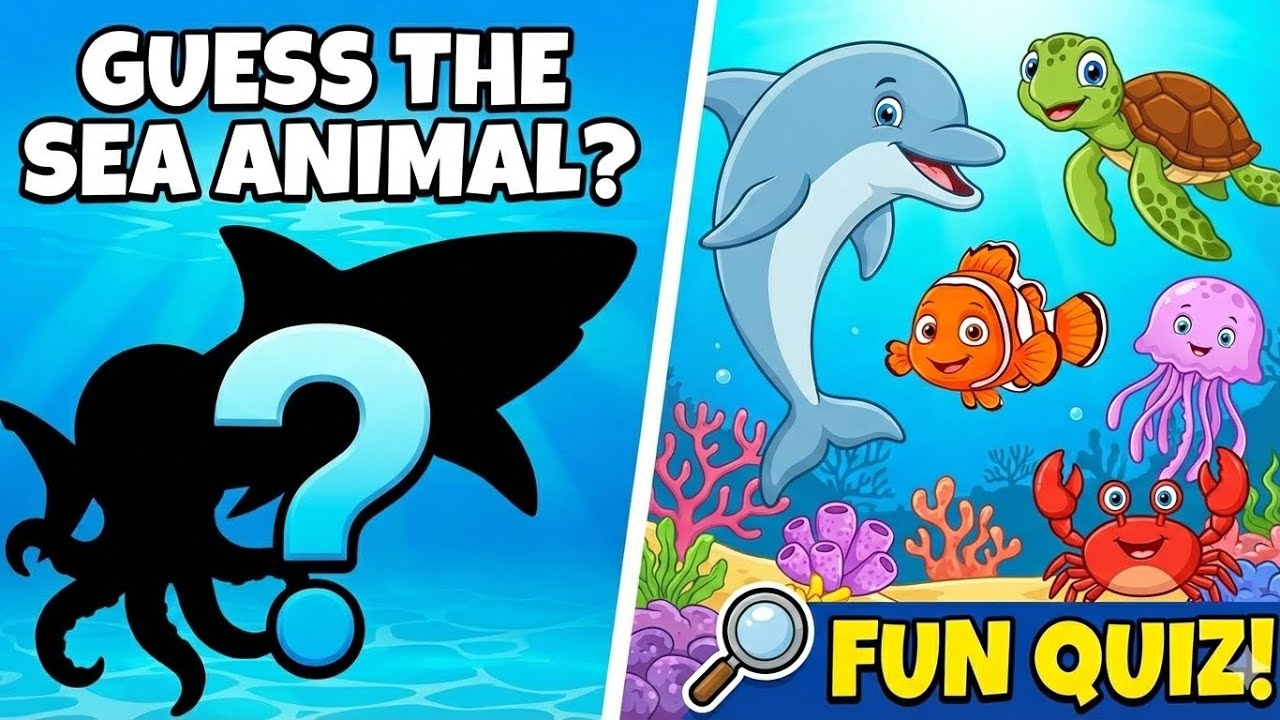 Guess the sea animals | preschool learning | Seaanimals for kids and toddlers 