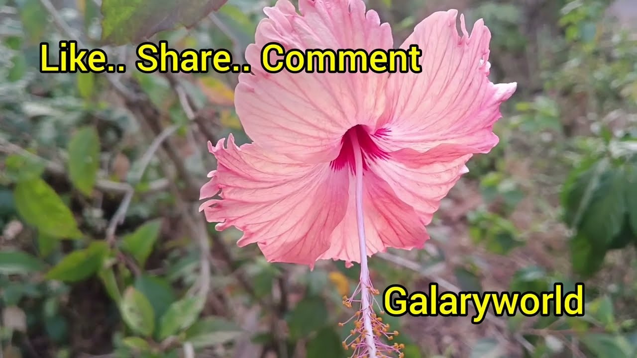 വിഷ്ണുവിന്റെ കള്ളക്കളികൾ തിരിച്ചറിഞ്ഞു ശാലിനി.. .. || Episode 1391 || || 07-02-2026 || 