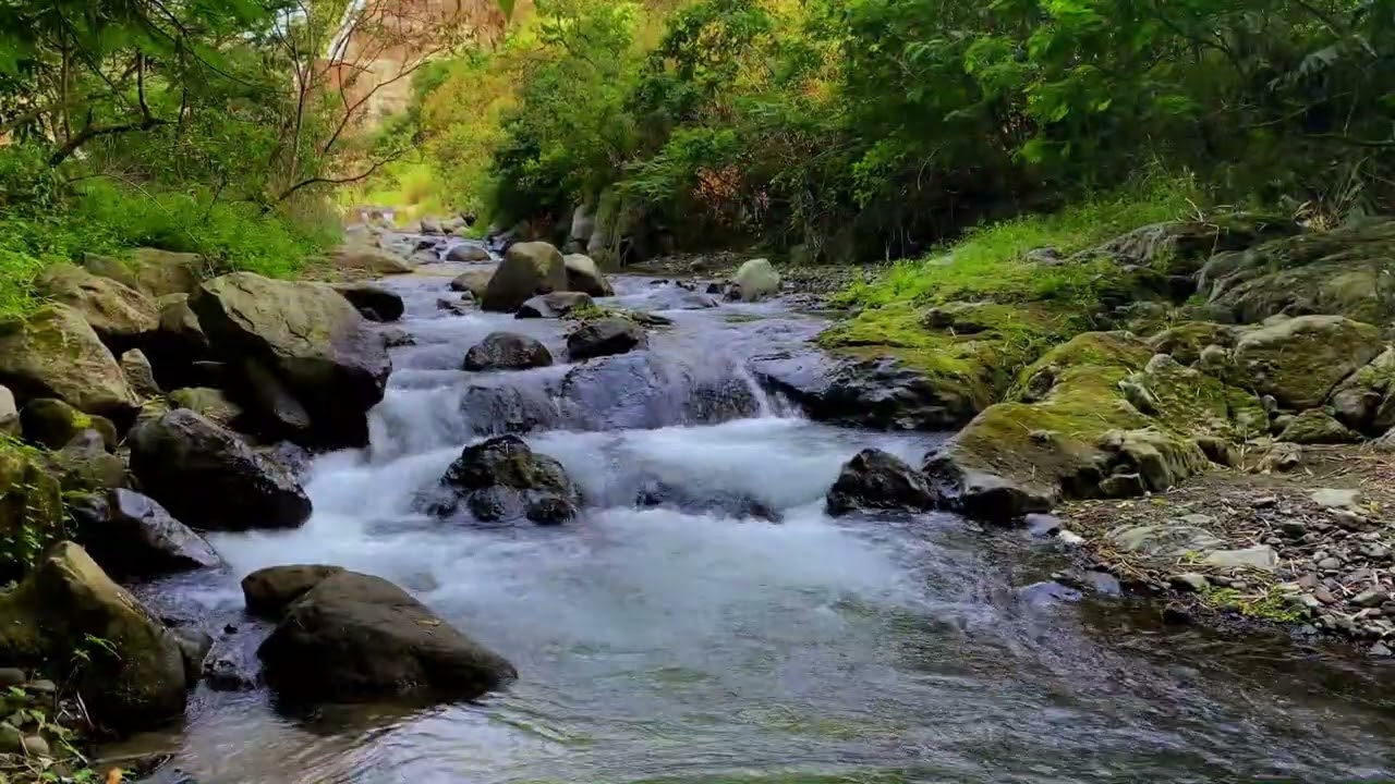 Tranquil Water Ambience for Stress Release and Calm