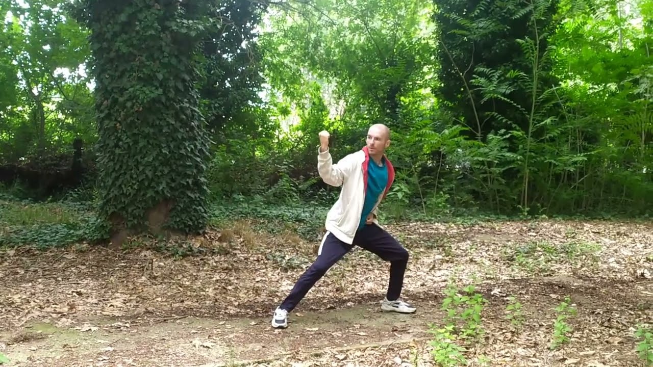 Wu shu kwan kung fu by Sonic lee Lo han shou  self techniques -fix paring