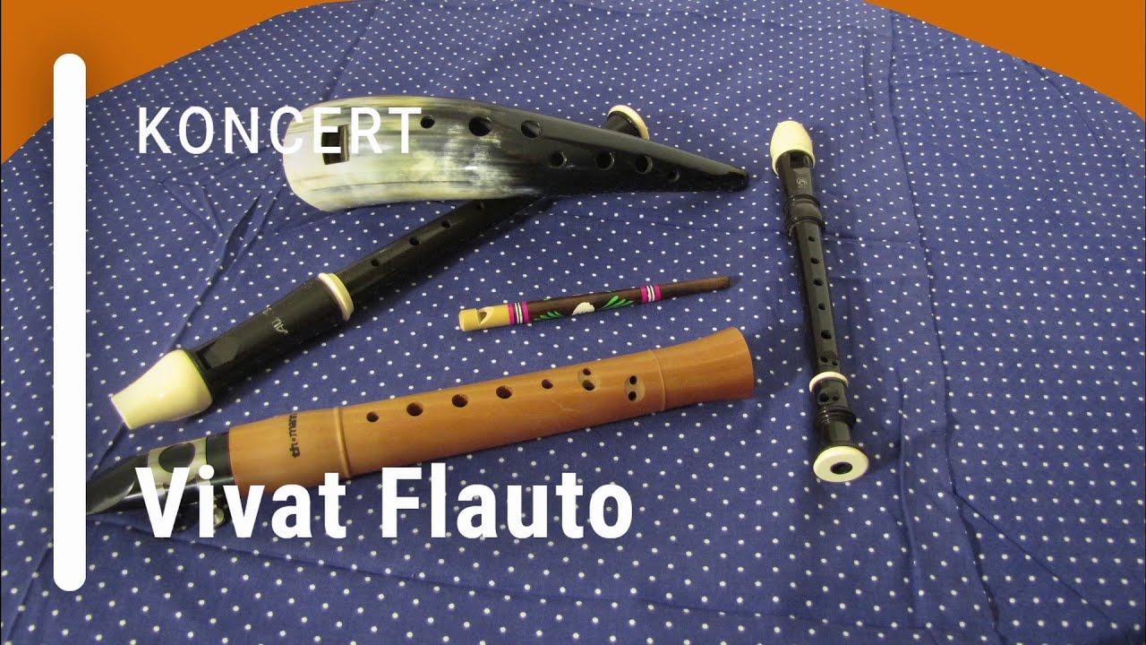 Skoro koncert souboru Vivat Flauto