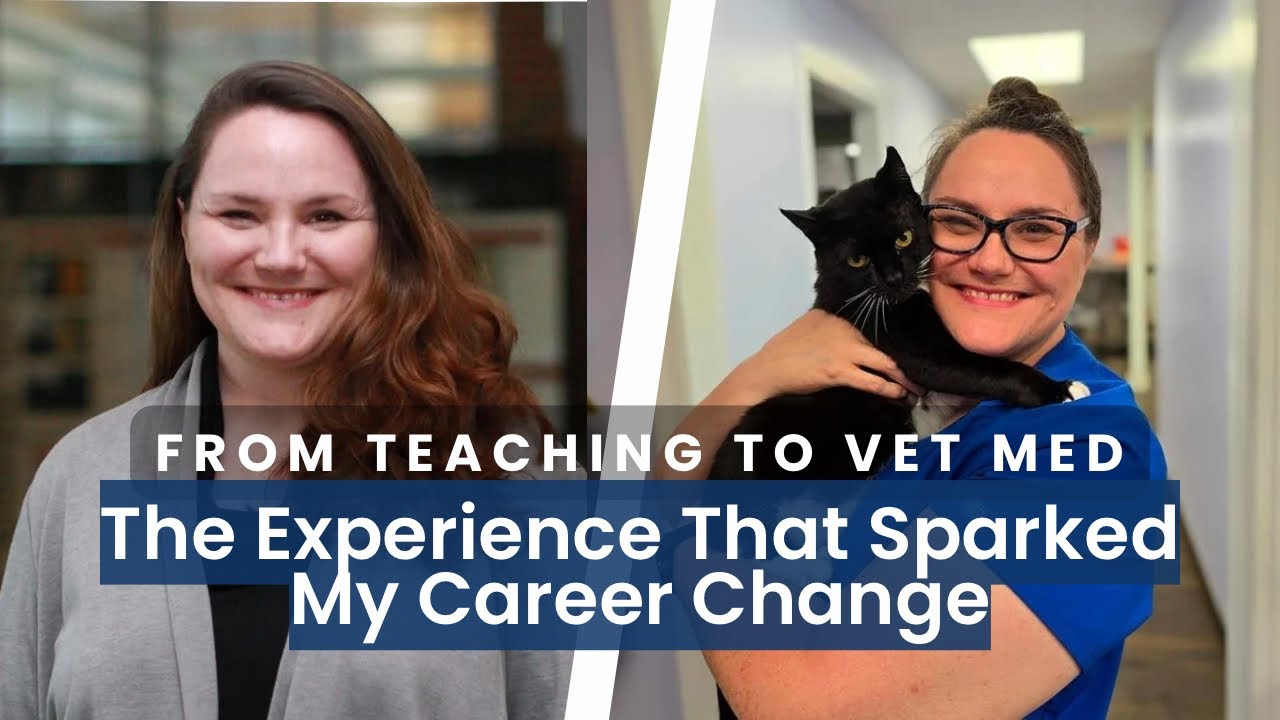 From Teaching To Vet Med: The Experience That Sparked My Career Change