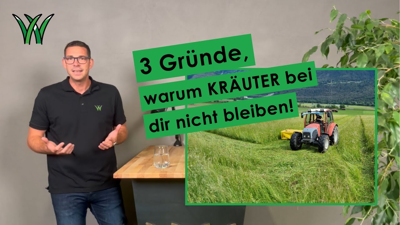 Dauergrünland, Dauerfrust? 3 Gründe, warum Kräuter bei dir nicht bleiben!