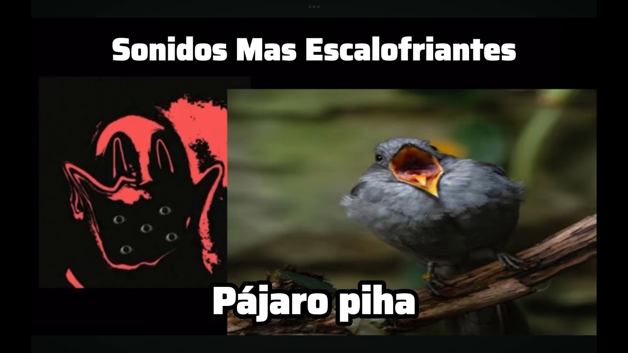 #1 reaccionando videos de terror ( de sonidos escalofriantes)