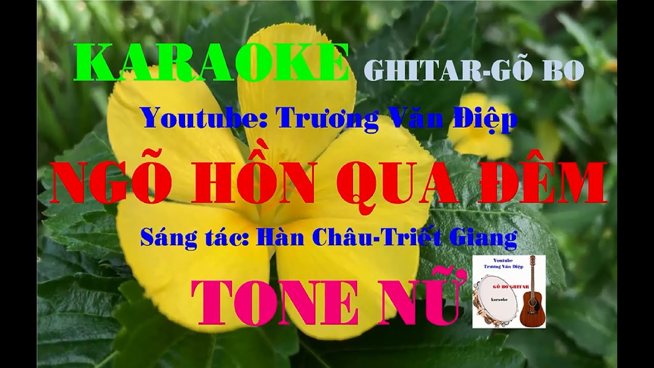 Karaoke Ngõ Hồn Qua Đêm Tone Nữ Gõ Bo | Trương Văn Điệp