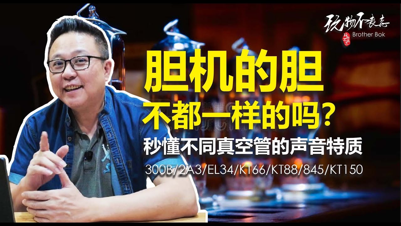 [EngSub] 真空管放大器的魅力，源自每颗管子独特的音色表现。从300B的人声魅力到KT88的动态能量，本片一次解析。