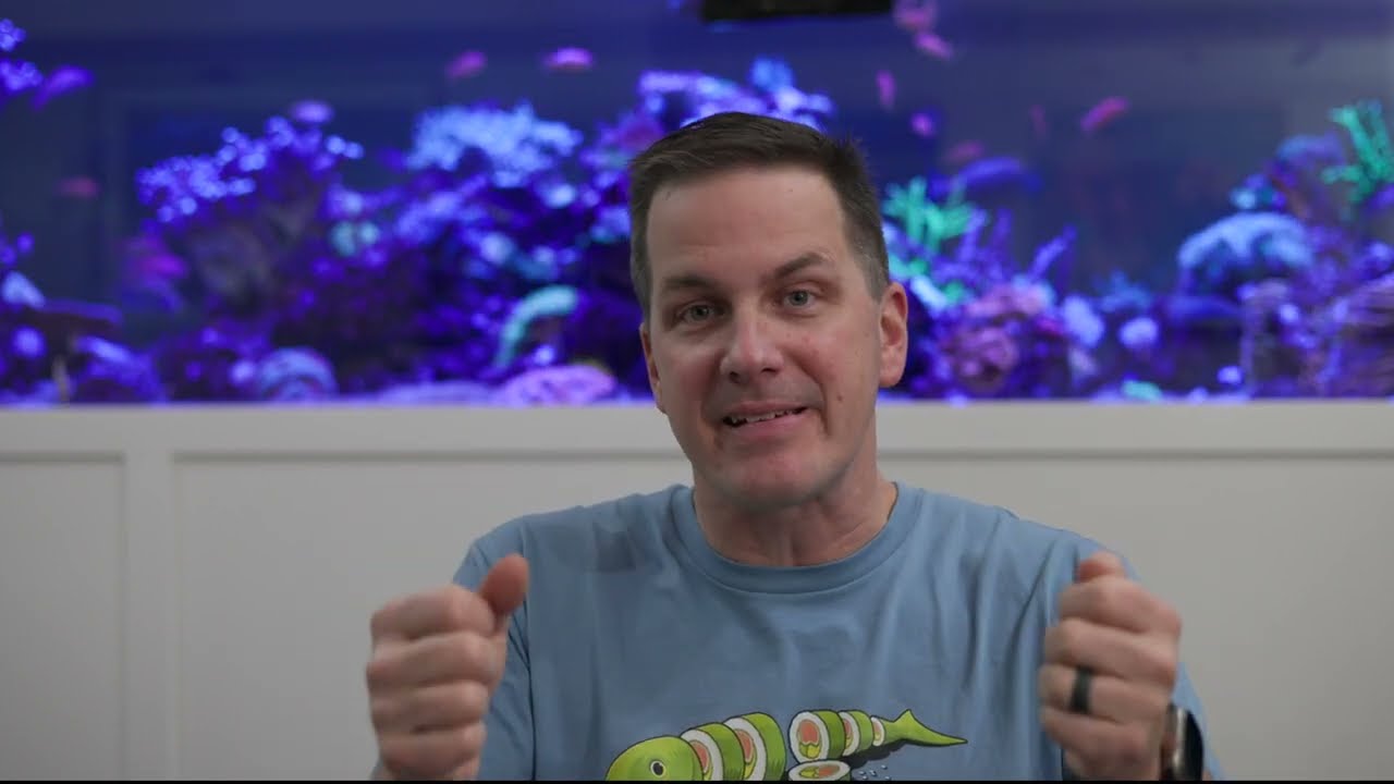 Mr. Saltwater Tank 1000g Reef Build Part 2