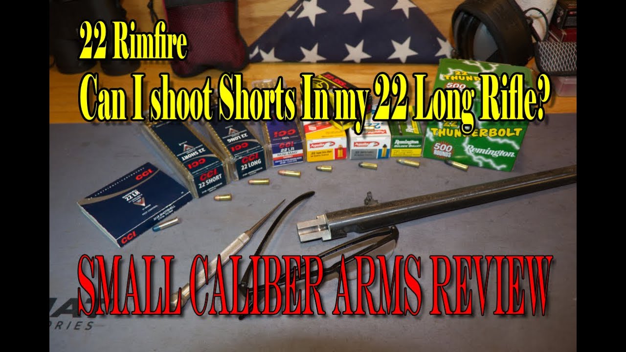 22 коротких выстрела из малокалиберного оружия LR