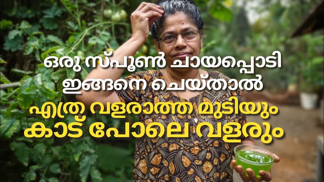 തുടർച്ചയായി 14 ദിവസം ചായപ്പൊടി ഇങ്ങനെ ചെയ്താൽ എത്ര വളരാത്ത മുടിയും വളർത്താം.