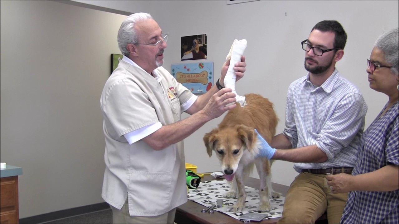 Carpal Brace Casting Tutorial