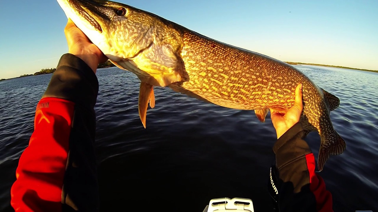 Taltson Bay Pike