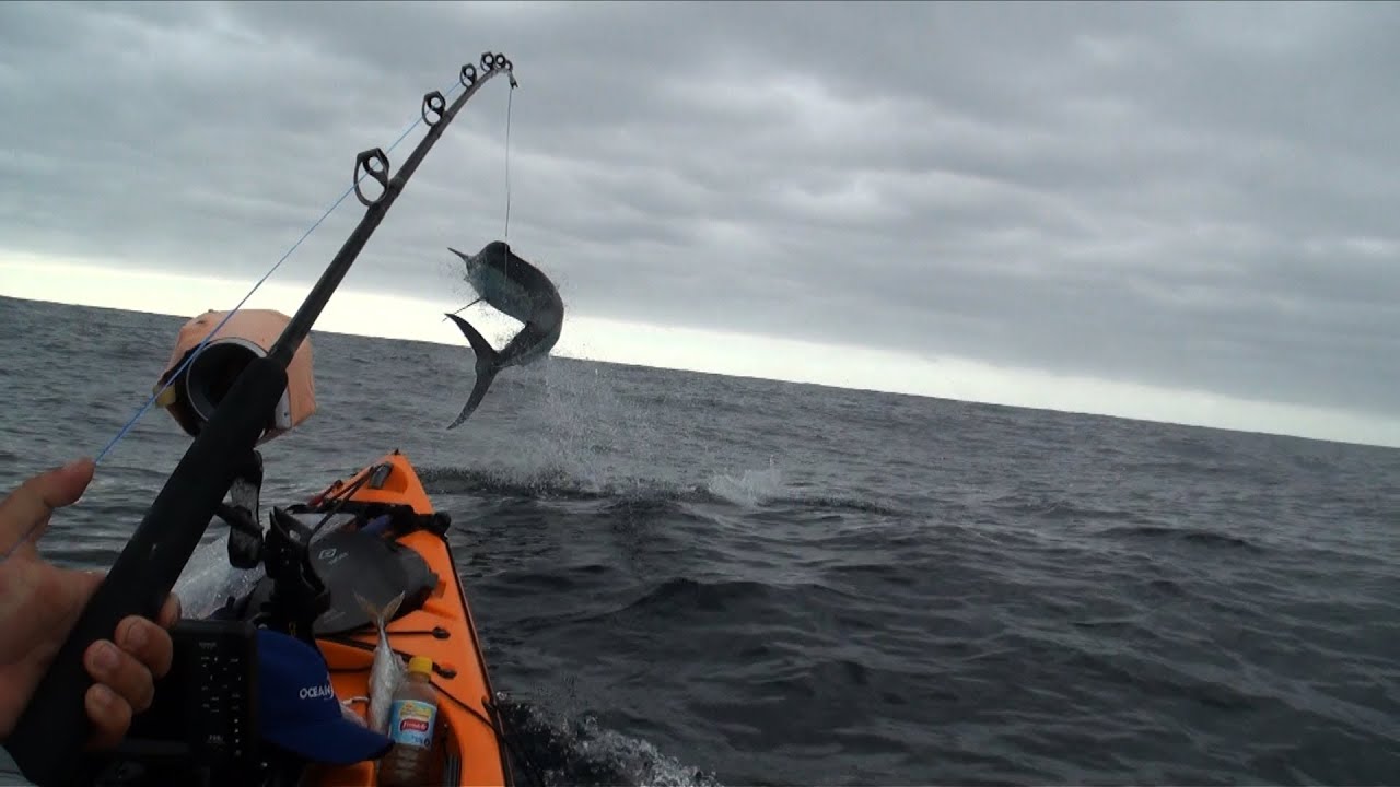 100kg Marlin & 100kg Shark from kayak extreme fishing